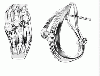 Beautiful 1 Carat Diamond Earrings For Girls In Dazzling 18K White Gold 